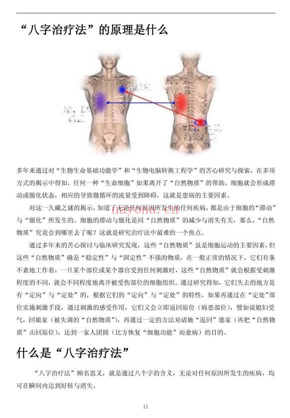 《八字治疗法+穴位回归公式+病案整理》211页.PDF电子版