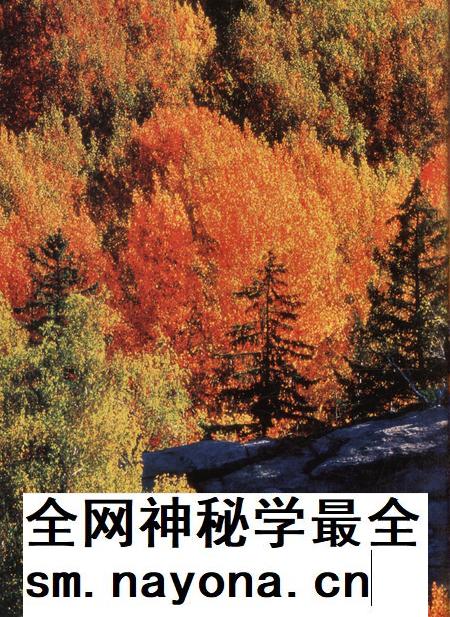 新疆画报2008年第05期.pdf电子版_新疆维吾尔族自治区志插图3 新疆画报2008年第05期.pdf电子版_新疆维吾尔族自治区志插图3