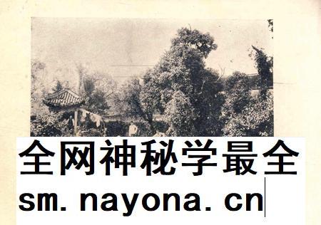天一阁今昔观-纪念册第二种.pdf电子版_浙江省志插图5