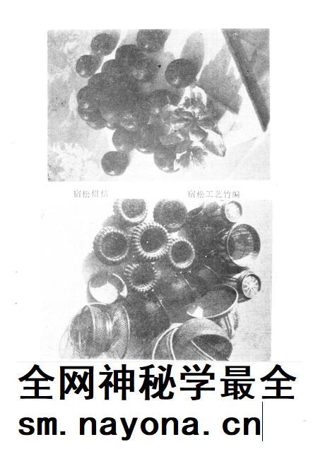 安庆地区土物产.pdf电子版_安徽省志插图3