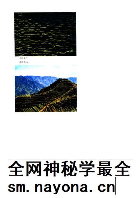 1986-景宁畲族自治县概况.pdf电子版_浙江省志插图4 1986-景宁畲族自治县概况.pdf电子版_浙江省志插图4