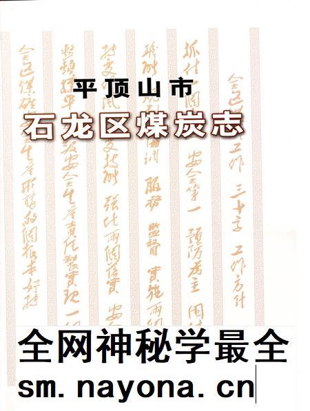 平顶山市石龙区煤炭志.pdf电子版_河南省志插图2