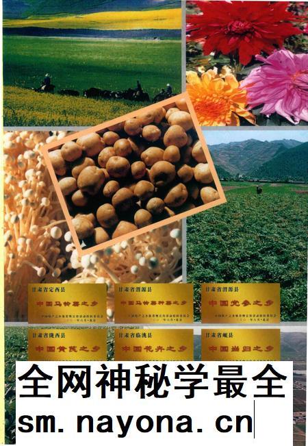 定西年鉴-2002.pdf电子版_甘肃省志插图2 定西年鉴-2002.pdf电子版_甘肃省志插图2