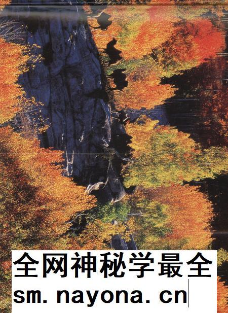 新疆画报2008年第05期.pdf电子版_新疆维吾尔族自治区志插图4 新疆画报2008年第05期.pdf电子版_新疆维吾尔族自治区志插图4