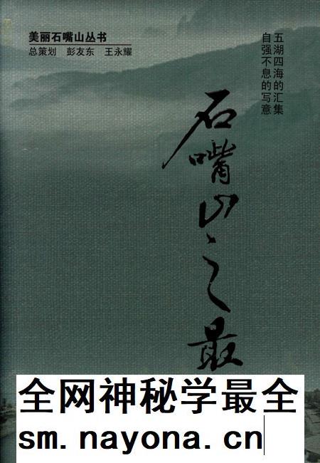 石嘴山之最.pdf电子版_宁夏回族自治区志插图
