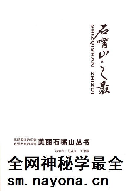 石嘴山之最.pdf电子版_宁夏回族自治区志插图2