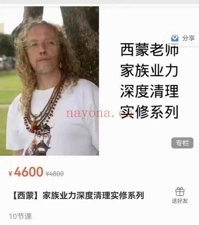 西蒙《家族业力深度清理实修系列》视频12集