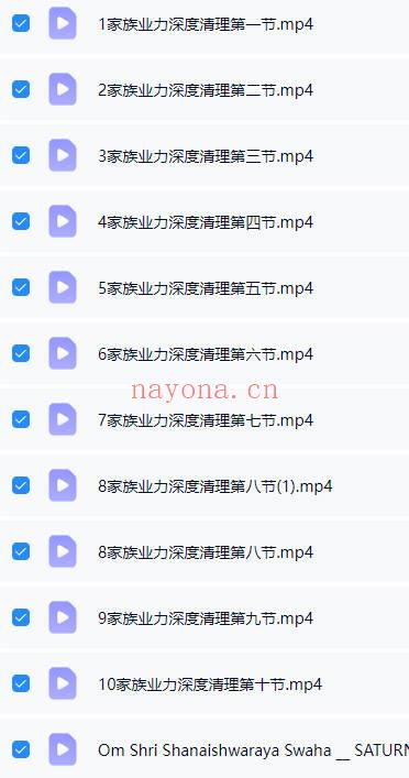 西蒙《家族业力深度清理实修系列》视频12集