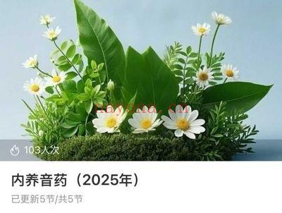 玄玑《道家内养音药》视频音频课5节
