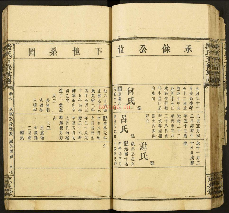 段氏宗谱族谱(犹他州藏湖南省)共102册