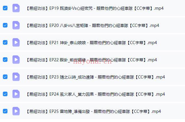 张显君老师《易经功法》视频课25集