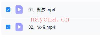 陈法灵《道医刮痧法》视频课2集
