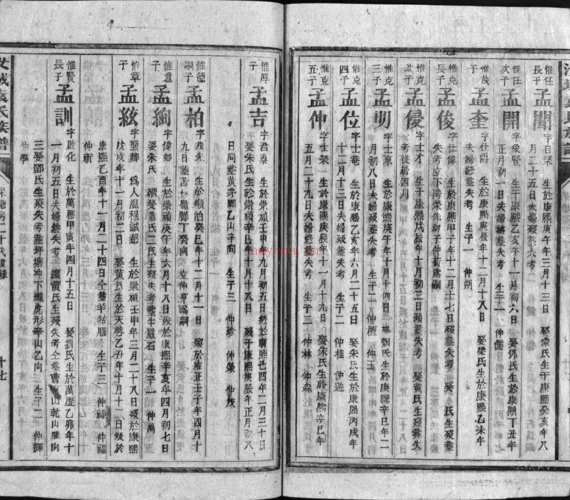 袁氏宗谱族谱（犹他州藏湖南省）共158册