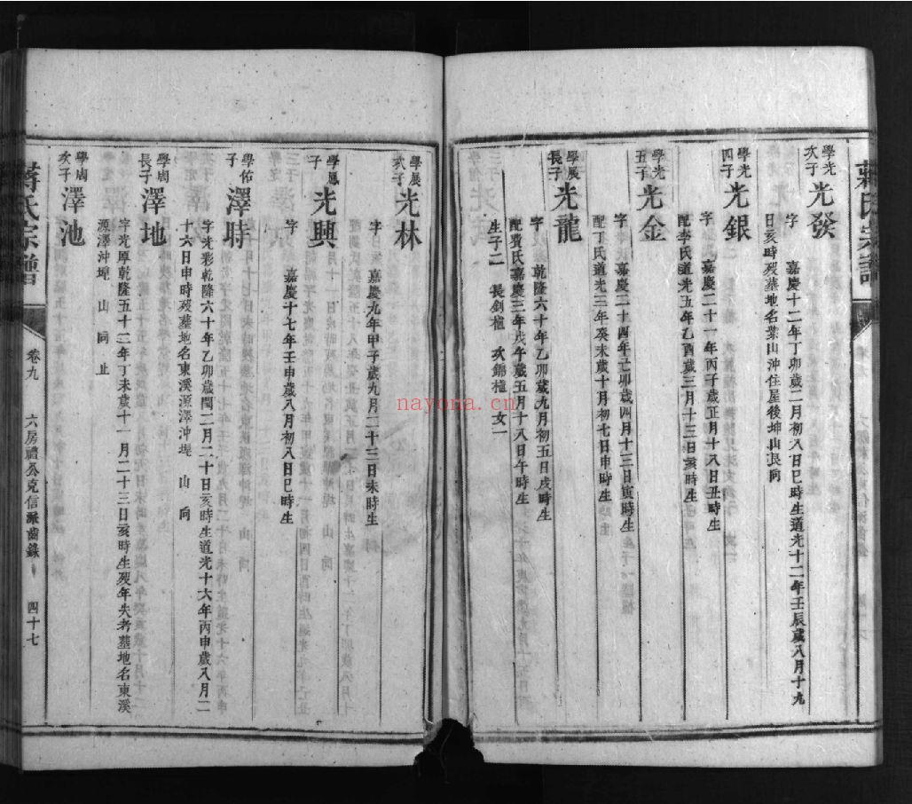 蒋氏宗谱族谱(犹他州藏湖南省)共335册
