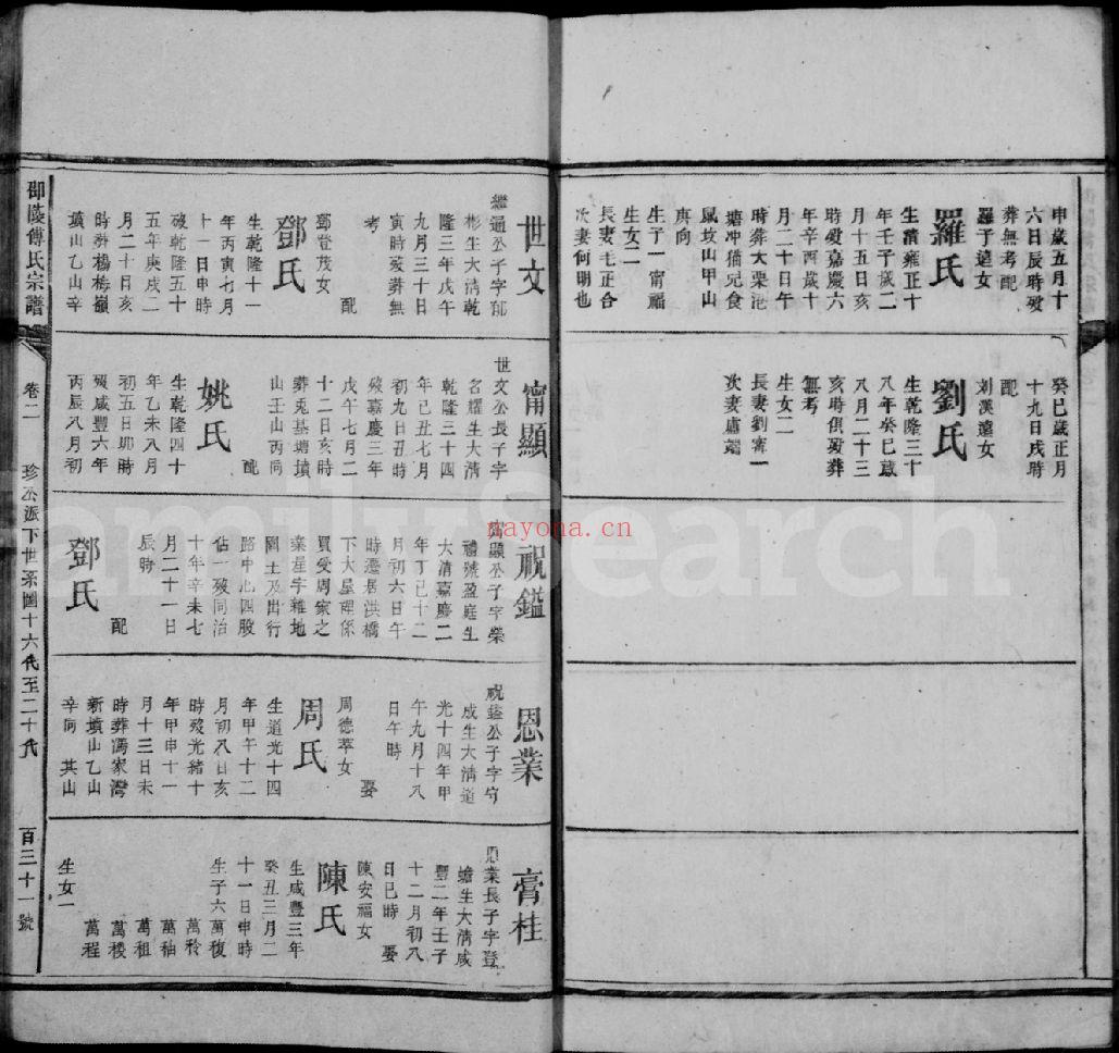 傅氏宗谱族谱（犹他州藏湖南省）共98册