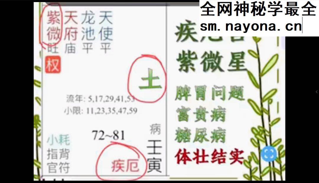 清合快速了解紫薇11课