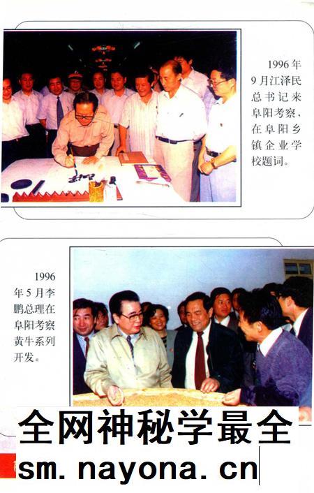 阜阳改革开放二十年.pdf电子版_安徽省志插图5
