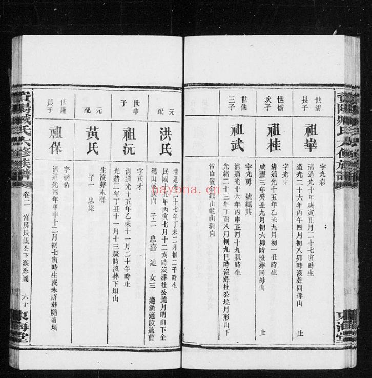 臧氏宗谱族谱(犹他州藏湖南省)共4册