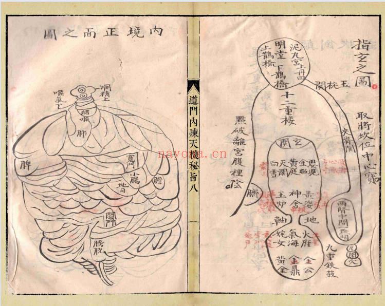 《道门内炼天机秘旨》58筒子页.PDF电子版