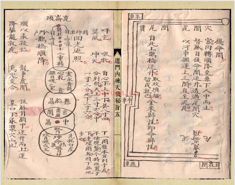 《道门内炼天机秘旨》58筒子页.PDF电子版