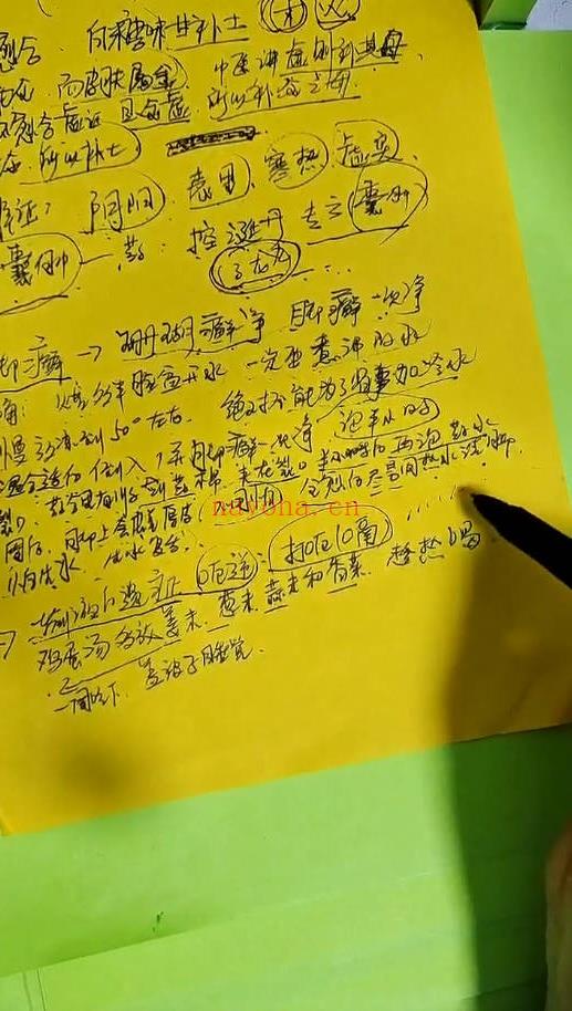 李佩袀（妙善）《禅意文化易医课程》视频16集