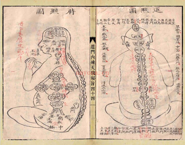 《道门内炼天机秘旨》58筒子页.PDF电子版