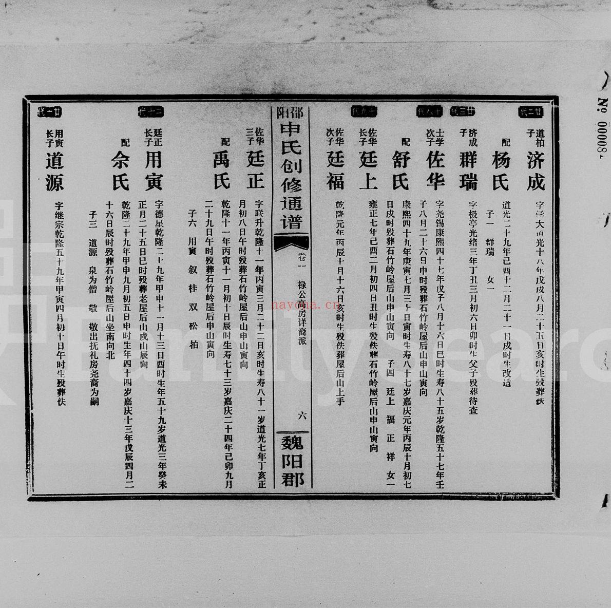 申氏宗谱族谱（犹他州藏湖南省）共211册