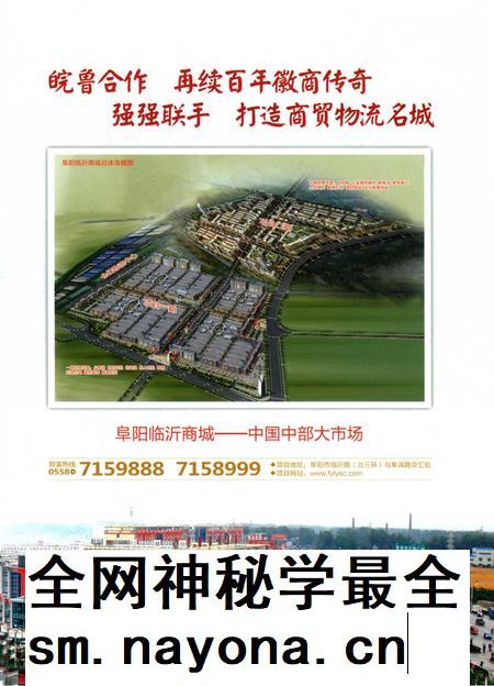 阜阳年鉴 2011.pdf电子版_安徽省志插图2