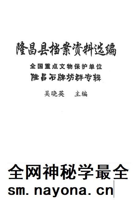 隆昌县档案资料选编 全国重点文物保护单位隆昌石牌坊群专辑.pdf电子版_四川省志插图2