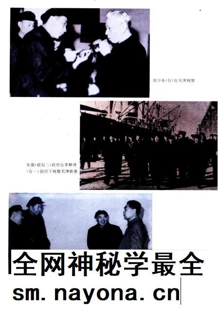 天津通志  政权志  政府卷.pdf电子版_天津市志插图5