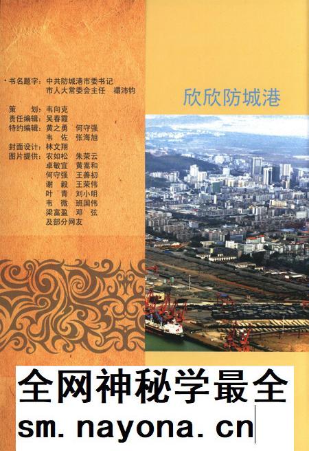 防城港文化遗产从书.历文化遗产部分.pdf电子版_广西壮族自治区志插图1