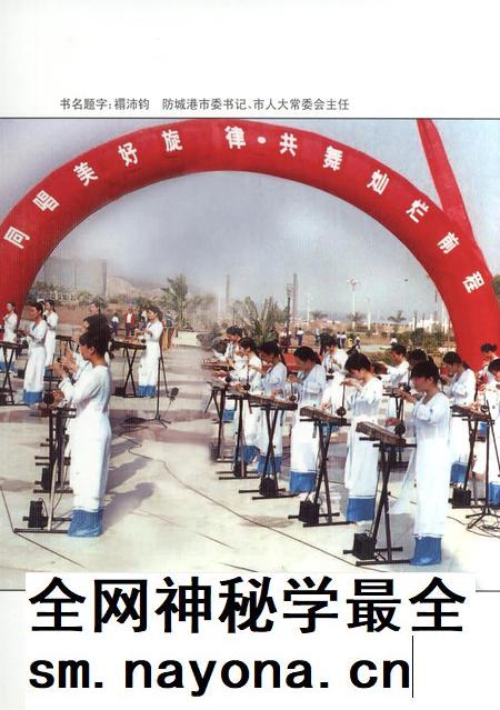 防城港文化遗产从书.非物质文化遗产部分.pdf电子版_广西壮族自治区志插图1