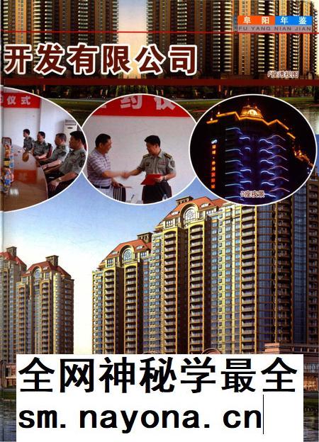 阜阳年鉴 2010.pdf电子版_安徽省志插图5