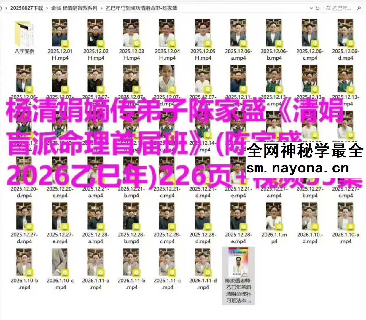 乙巳年杨清娟弟子盲派命理 陈家盛 PDF+55集视频