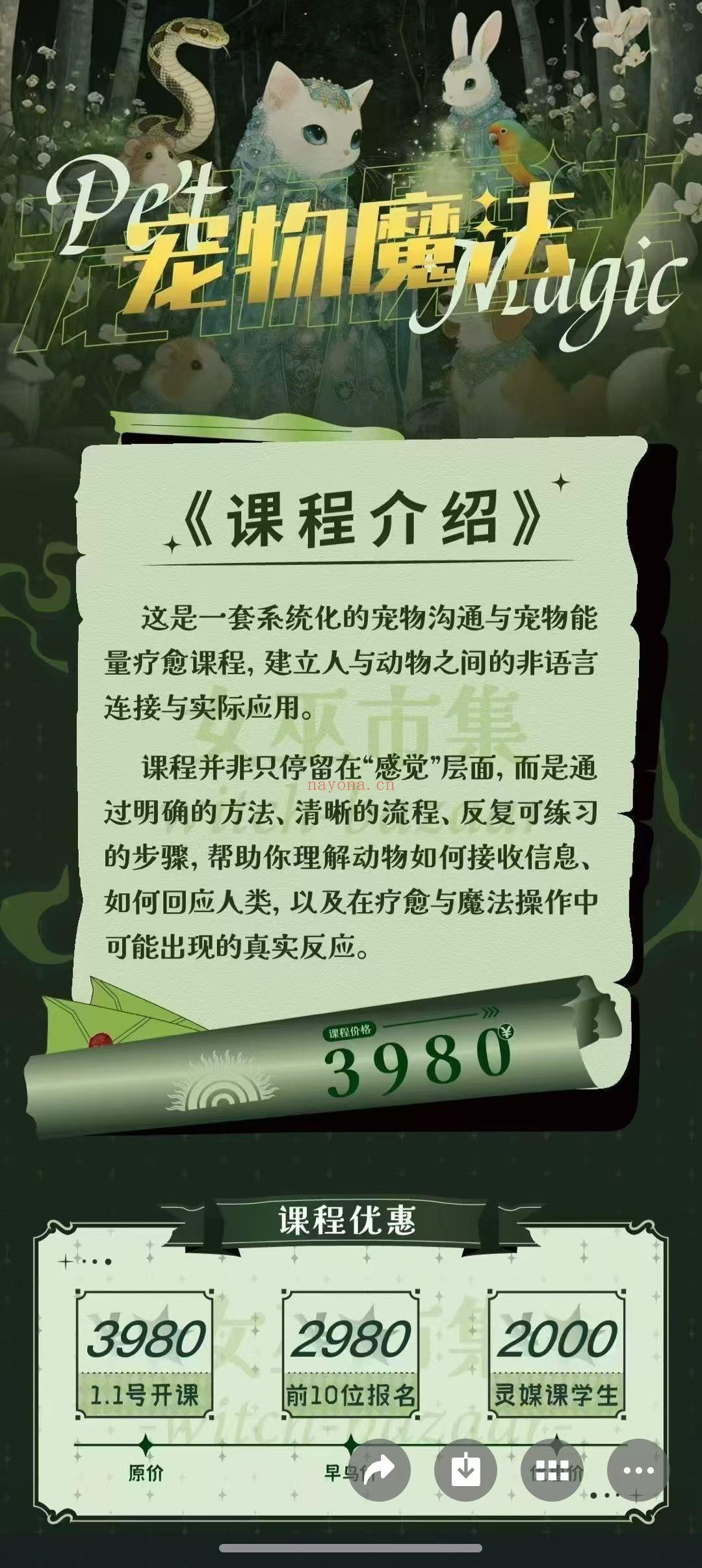 丽华宠物魔法 Magic