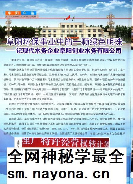 阜阳年鉴 2010.pdf电子版_安徽省志插图2