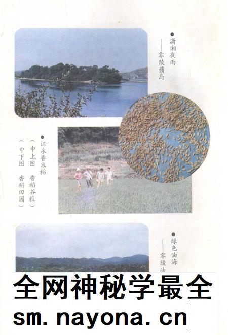 零陵粮食经济概论.pdf电子版_湖南省志插图5