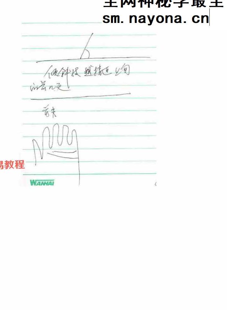 陈鼎龙的儿子陈大有西安派手相资料pdf 10册