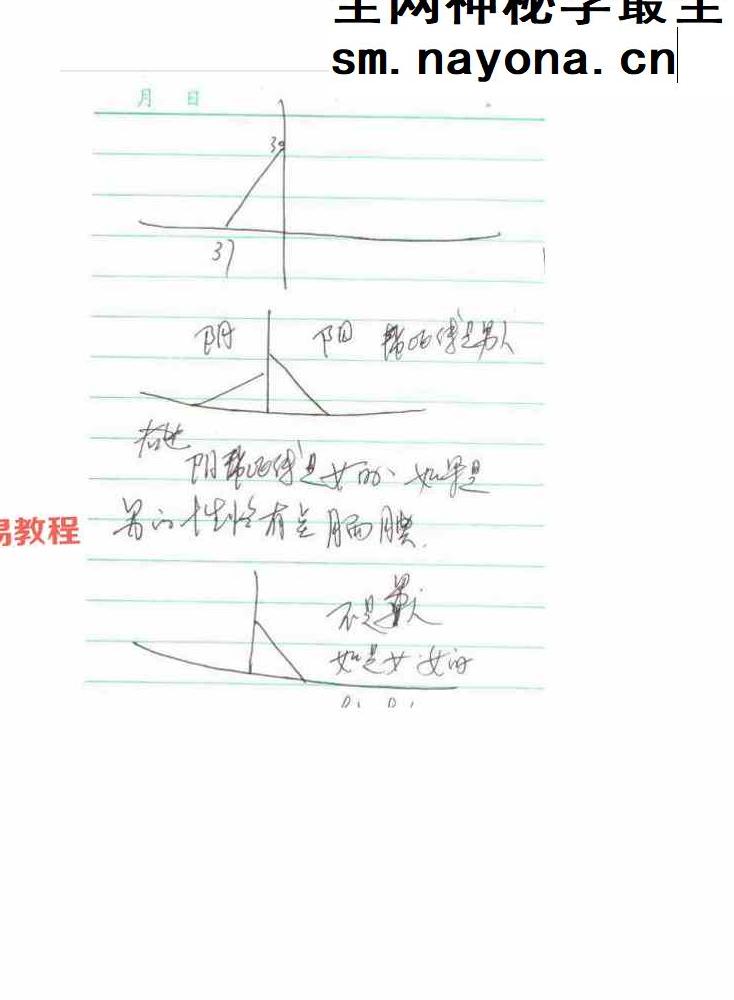 陈鼎龙的儿子陈大有西安派手相资料pdf 10册