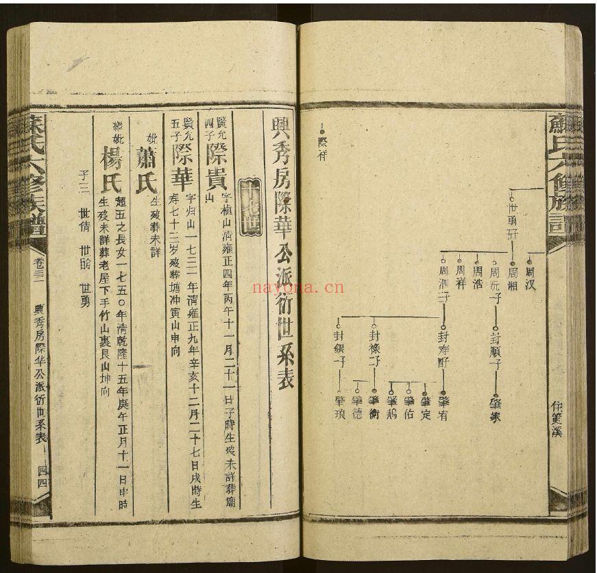 苏氏宗谱族谱(犹他州藏湖南省)共127册