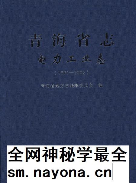 青海省志·电力工业志（1991——2002）.pdf电子版_青海省志插图