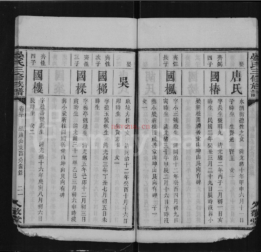 晏氏宗谱族谱（犹他州藏湖南省）共19册