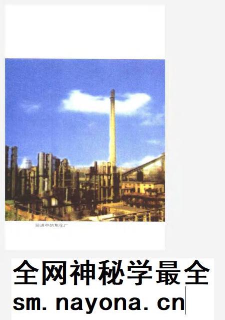 莱钢志  焦化厂志  1996-2000.pdf电子版_山东省志插图4
