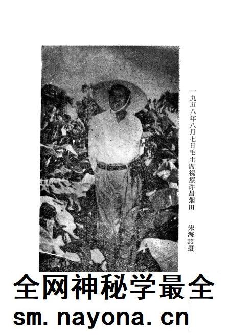 许昌烤烟发展史话.pdf电子版_河南省志插图4 许昌烤烟发展史话.pdf电子版_河南省志插图4