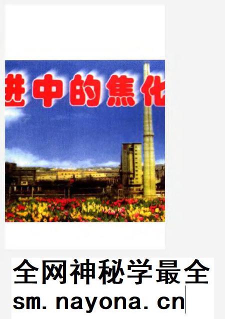 莱钢志  焦化厂志  1996-2000.pdf电子版_山东省志插图5
