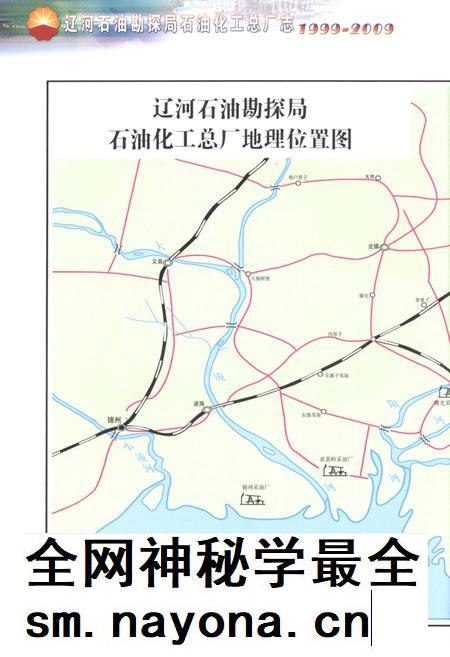 辽河石油勘探局石油化工总厂志  1999-2009.pdf电子版_辽宁省志插图4