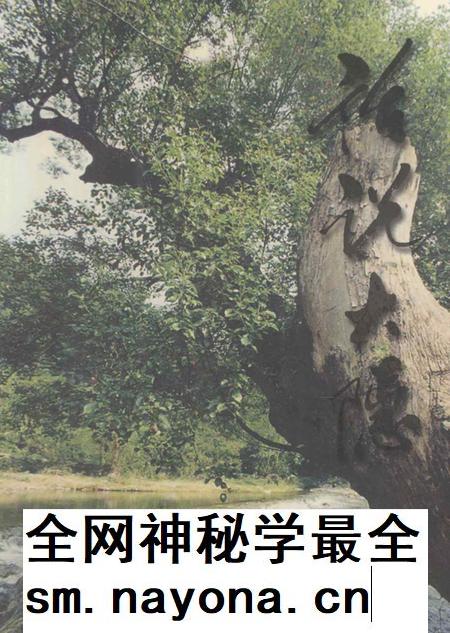 话说大隐.pdf电子版_浙江省志插图 话说大隐.pdf电子版_浙江省志插图