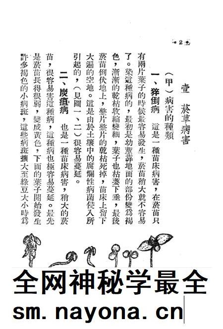 烟草主要病虫害和防治法-西南军政委员会农林部 编-1953.pdf电子版_重庆市志插图5