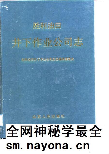 胜利油田井下作业公司志  1965-1988.pdf电子版_山东省志插图