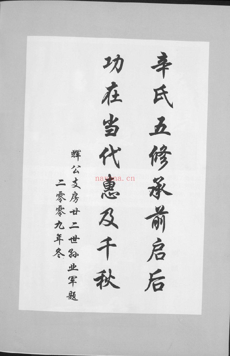 辛氏宗谱族谱（犹他州藏湖南省）共5册